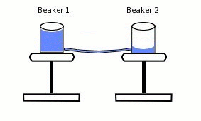 equal_water_beaker_images